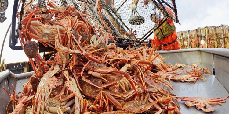 Alaska’s Seafood Industry Urges Action: Lawmakers Rally for Guest Worker Visa Exception!