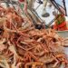 Alaska’s Seafood Industry Urges Action: Lawmakers Rally for Guest Worker Visa Exception!