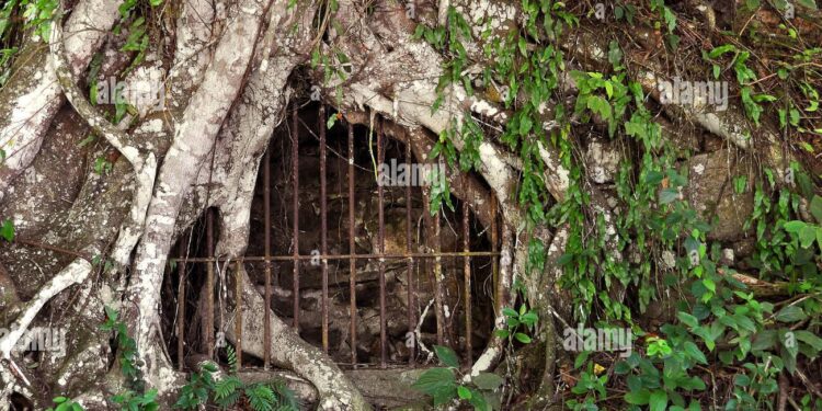 France Unveils Ambitious High-Security Jungle Prison to Tackle Drug Kingpins