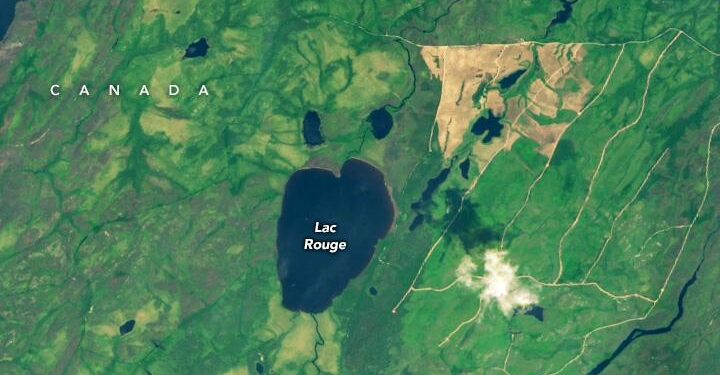 Suriname’s Battle Against the Rising Tides: A Daily Quest to Protect Our Home