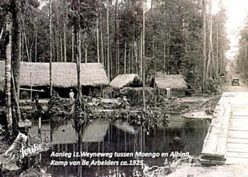 Uncover Suriname’s Hidden Treasures: An Adventure with Lieutenant Weyneweg