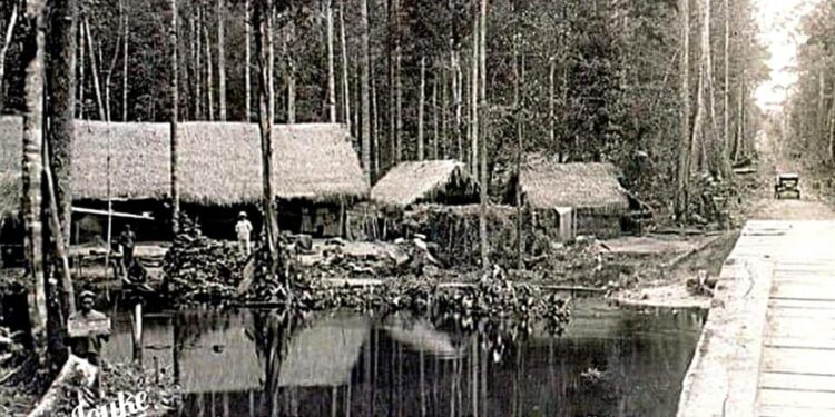 Uncover Suriname’s Hidden Treasures: An Adventure with Lieutenant Weyneweg