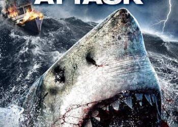 Shark Attack Scare Leaves Two Americans Injured in the Bahamas!