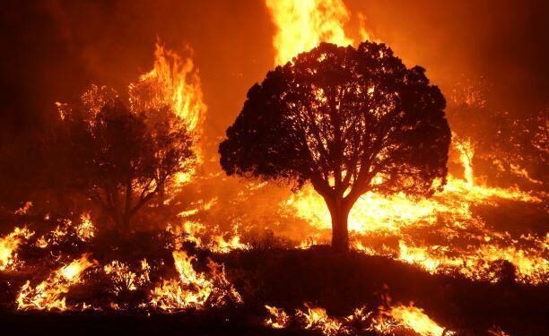 Desperate Escapes: Wildfires Devastate Two National Parks in the West