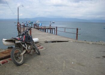 Uncover the Hidden Treasures of Life in Puerto Jimenez, Costa Rica!