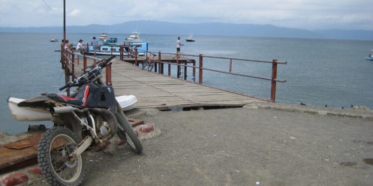 Uncover the Hidden Treasures of Life in Puerto Jimenez, Costa Rica!