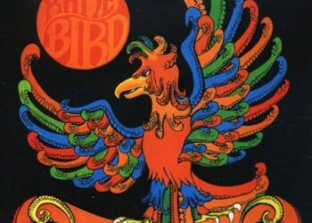 Indigenous Communities in Guyana Celebrate Victory in Protecting a Rare Bird Species!