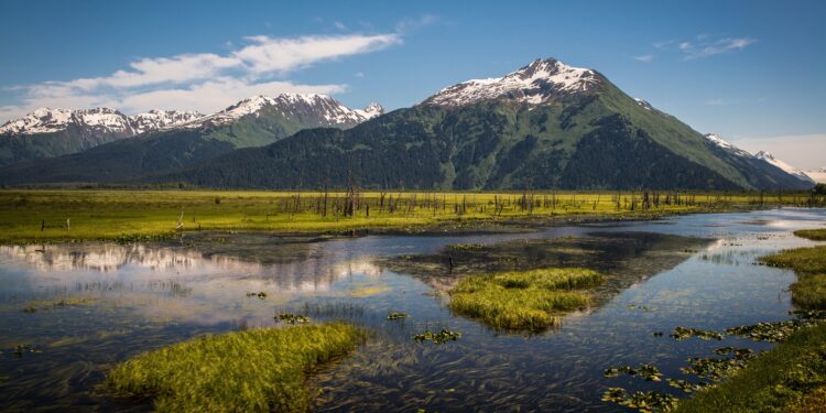 Alaska’s Nazi Creek Transformed: A WWII Veteran’s Son Leads the Charge for Change After 80 Years