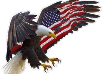 American Eagle Says Goodbye to the British Virgin Islands: A Fond Farewell