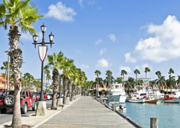 Exciting Leadership Shift: Introducing Aruba’s New North America Area Director!