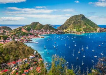 Discover the Enchanting Butterflies of Guadeloupe: Supporting Migrants on Their Journey