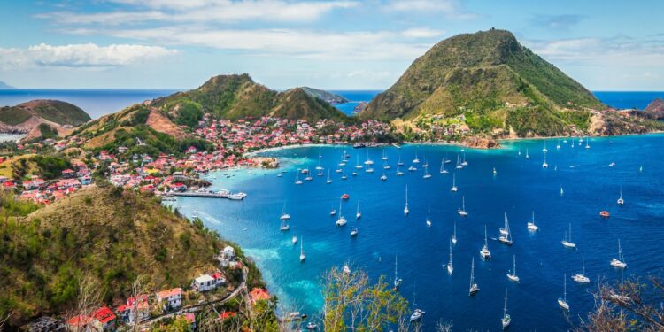 Discover the Enchanting Butterflies of Guadeloupe: Supporting Migrants on Their Journey