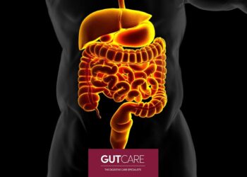 Unlocking Digestive Health: Culinary Secrets from Montserrat Bonvehi-Rosich