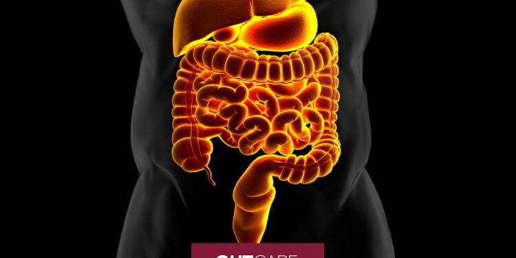 Unlocking Digestive Health: Culinary Secrets from Montserrat Bonvehi-Rosich