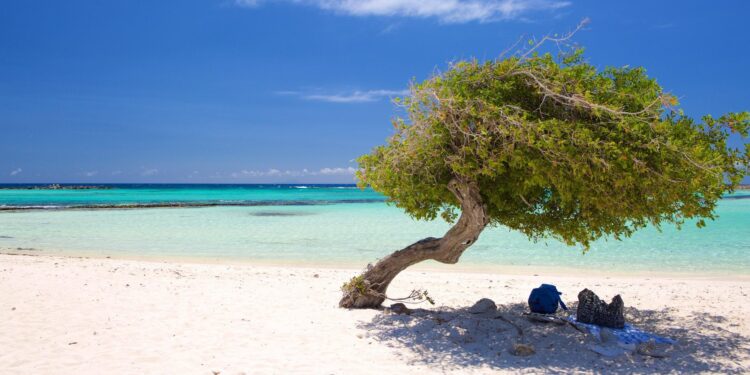 Exploring Aruba’s Exciting New Developments: The Impact of Interpol Uncovered!