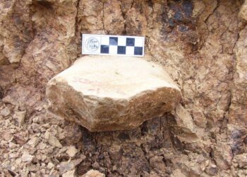 Revolutionary Discovery Reveals the First Signs of Human Life in the Americas!