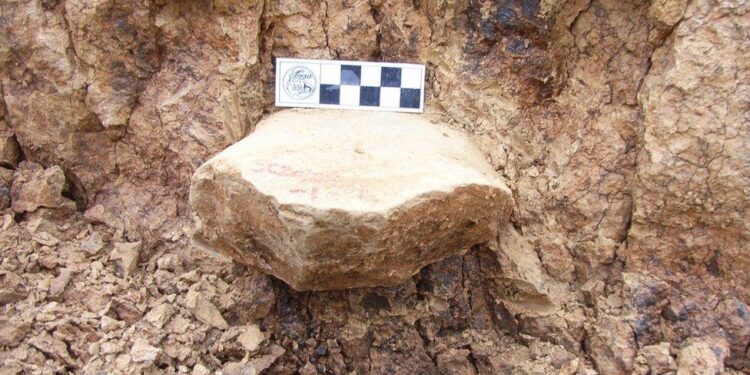 Revolutionary Discovery Reveals the First Signs of Human Life in the Americas!