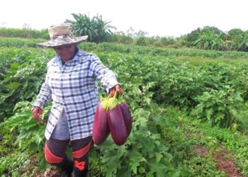 Revolutionizing Agriculture: Exciting Innovations Transforming Guyana’s Farming Landscape