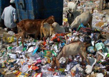 Unveiling America’s 10 Dirtiest Cities: A Stunning Visual Journey!