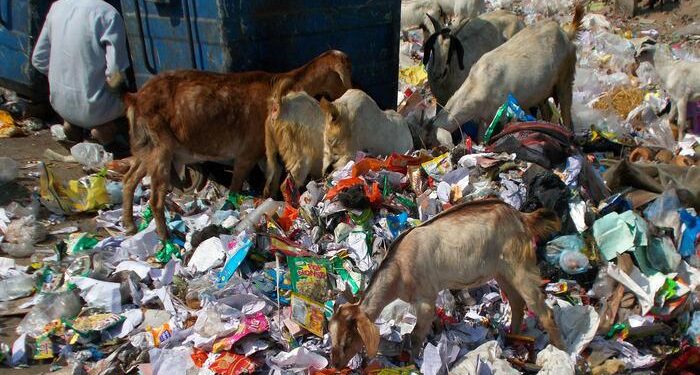 Unveiling America’s 10 Dirtiest Cities: A Stunning Visual Journey!