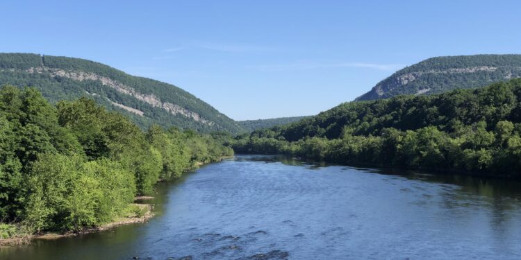 Unraveling the Secrets of the American Eel in the Delaware River Basin
