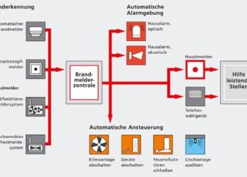 BMA and Aon Unite to Conquer Bermuda’s Vesttoo Challenge!