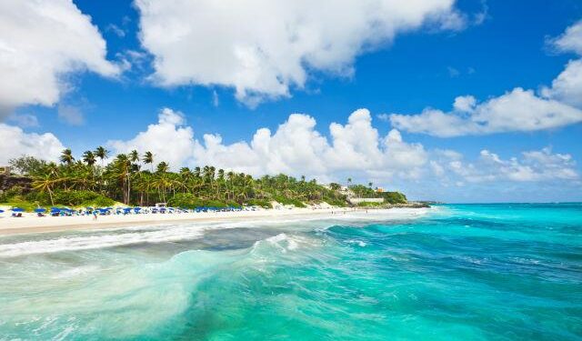 Barbados Takes on Aruba in an Epic World Cup Qualifier Clash!