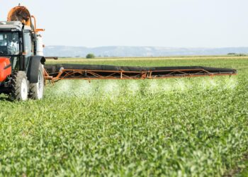 Tragic Pesticide Crisis Devastates the Caribbean’s French Paradise Islands