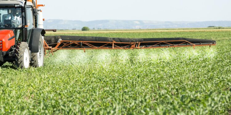 Tragic Pesticide Crisis Devastates the Caribbean’s French Paradise Islands