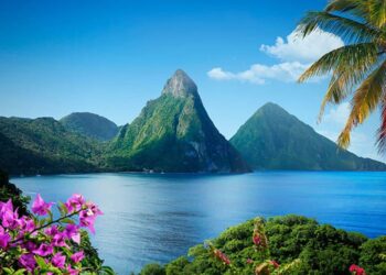 Saint Lucia Unites with 43 Nations to Combat Global Drug Issues in Brussels