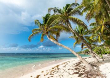 Epic Showdown: Guatemala Triumphs Over Guadeloupe 3-2 in a Nail-Biting Gold Cup Battle!