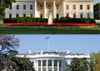 Will the White House Celebrate America’s 250th Birthday with a UFC Cage Fight?