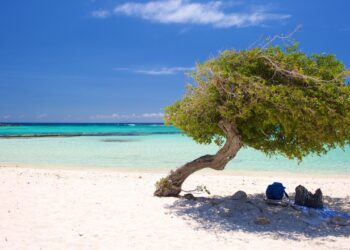 Thrilling Showdown: Aruba vs. Haiti – Predictions, Team Insights, and Lineup Reveals!