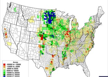 Contrasting Futures: Brazil’s Flourishing Corn Fields vs. Argentina’s Shrinking Harvests