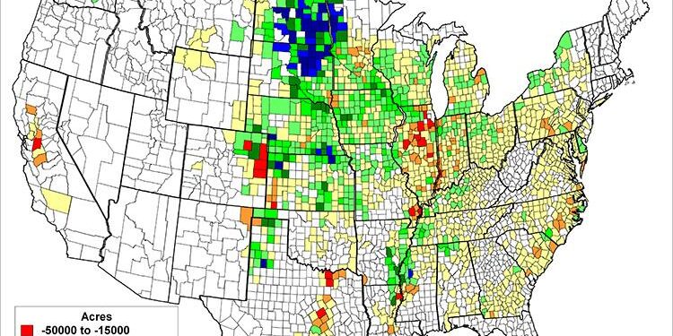 Contrasting Futures: Brazil’s Flourishing Corn Fields vs. Argentina’s Shrinking Harvests