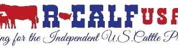 Empowering America’s Cattle Producers: R-CALF USA’s Vision for the Future