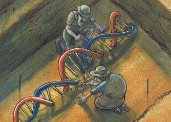 Unlocking History: Ancient DNA Reveals a Mysterious New Human Group in Colombia!