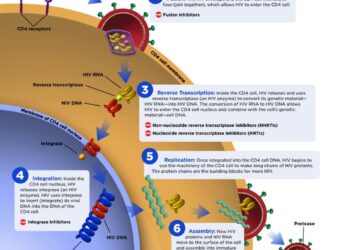 Unveiling the Challenges: The Profound Impact of HIV and TB in Guatemala