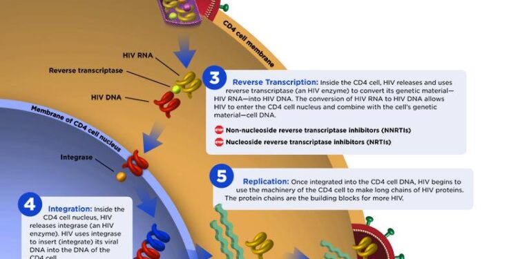 Unveiling the Challenges: The Profound Impact of HIV and TB in Guatemala