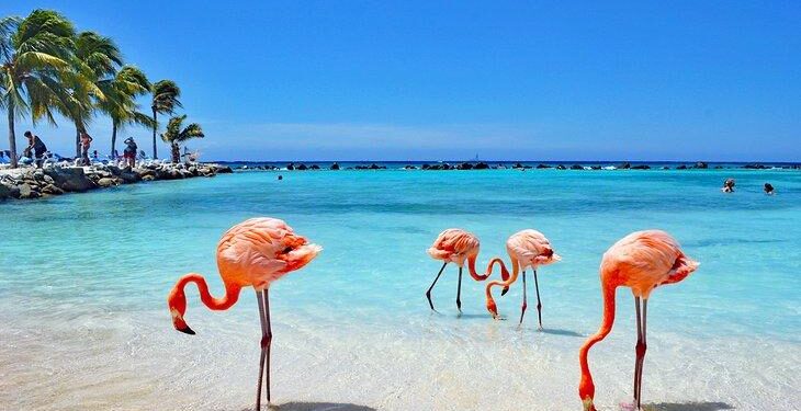 Unleash the Magic of Aruba: 12 Must-Do Adventures You Won’t Forget!