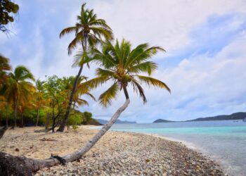 Uncover the Caribbean’s Best-Kept Secret: 4 Irresistible Reasons to Visit Today!