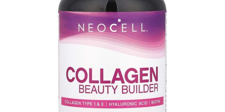 Exposing the Hidden Truth: Deforestation and Human Rights Abuses in Paraguay’s Collagen and Meat Industries