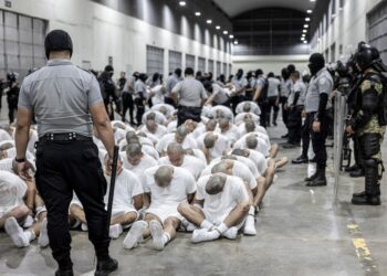 From Baby to Belonging: A Heartfelt Journey of Rediscovering Trinidadian Roots