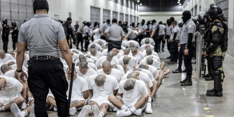 From Baby to Belonging: A Heartfelt Journey of Rediscovering Trinidadian Roots