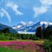 Twice Enchanted: A Captivating Love Affair with Alaska