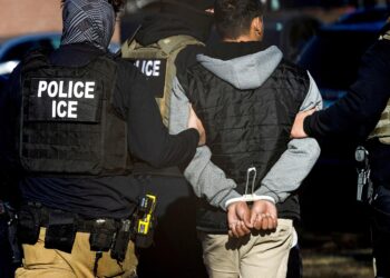 Breaking News: Haitian Oligarch Arrested for Alleged Ties to Gang Support