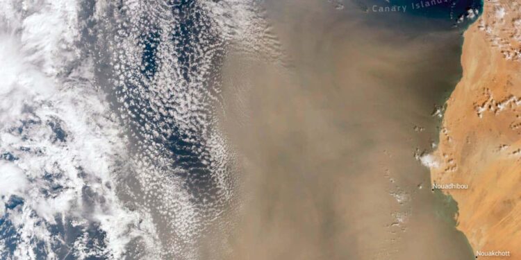 Majestic Saharan Dust Cloud Envelops the Caribbean: A Breathtaking Natural Wonder