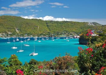Exciting New Quarantine Guidelines for U.S. Travelers Heading to St. Vincent and the Grenadines!