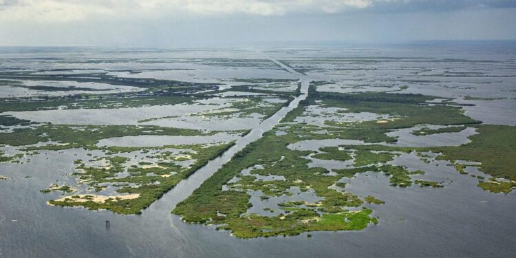 Reimagining Identity: Louisiana Communities Unite to Embrace the ‘Gulf of America’ Transformation