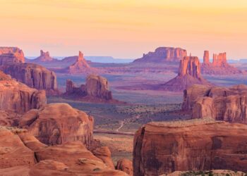 Heartbreaking Plague Outbreak Takes Life of Arizona Resident